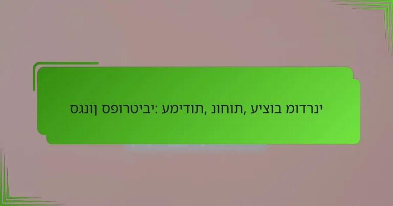 סגנון ספורטיבי: עמידות, נוחות, עיצוב מודרני
